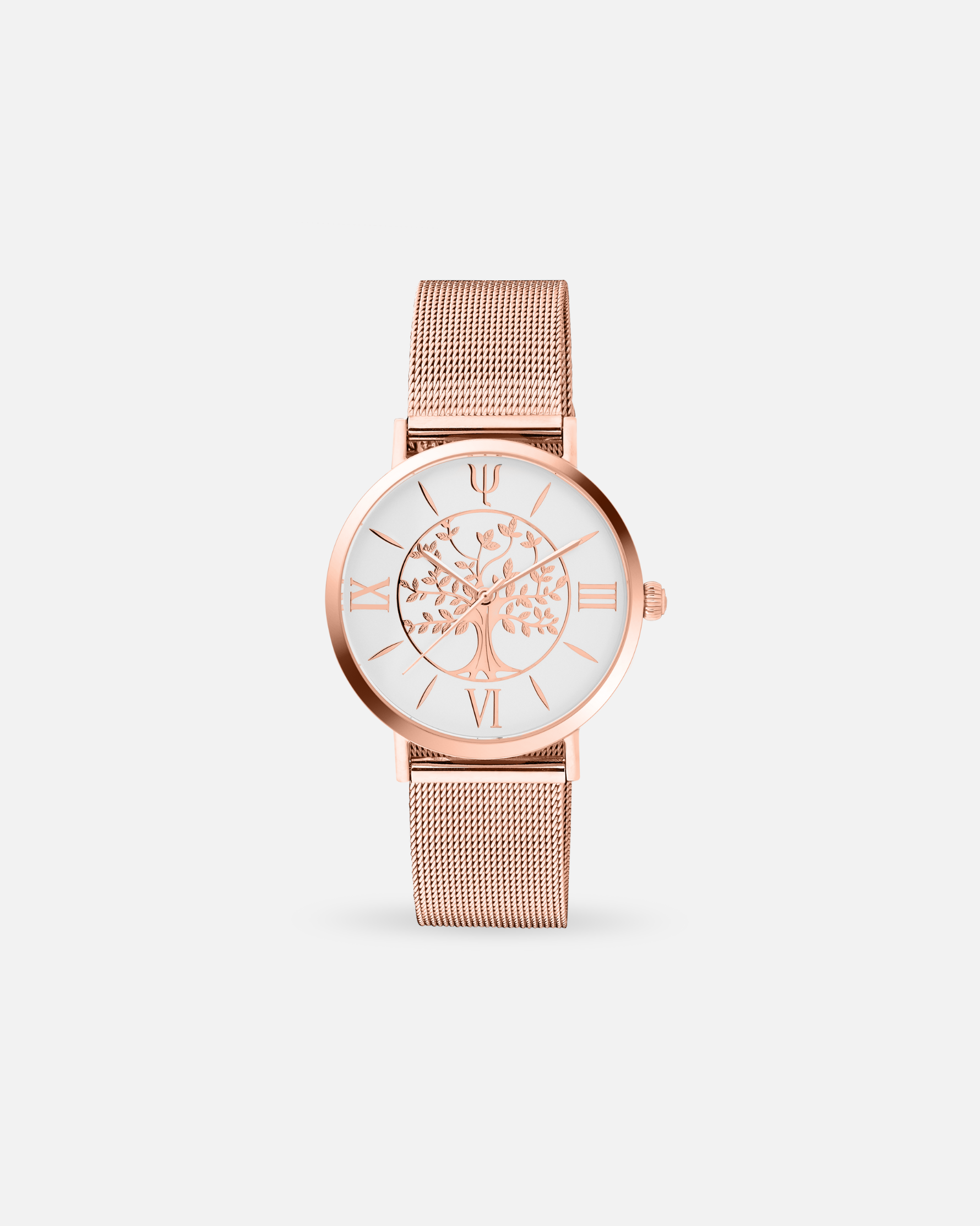 Montre GAIA 36 mm – Acier Rose & Cadran Blanc | Bracelet Interchangeable + Bracelet Cuir Offert