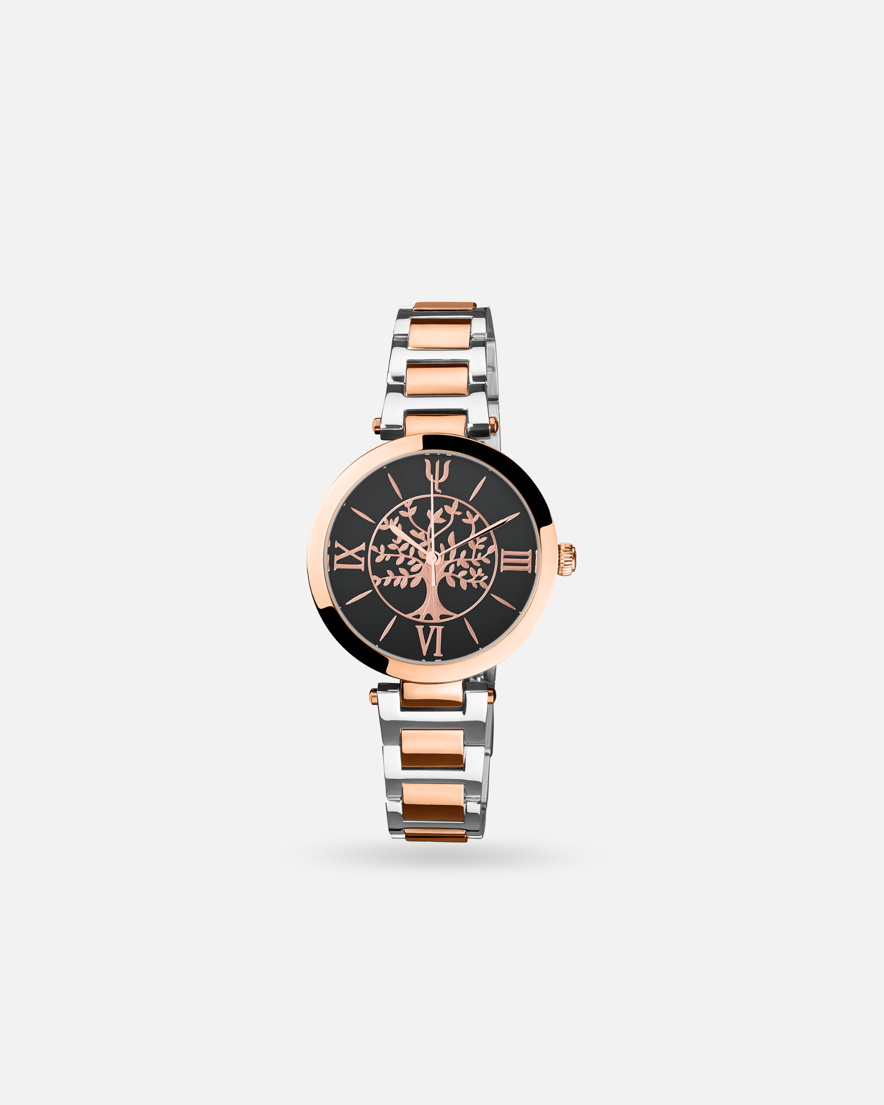 Montre Acier bicolore