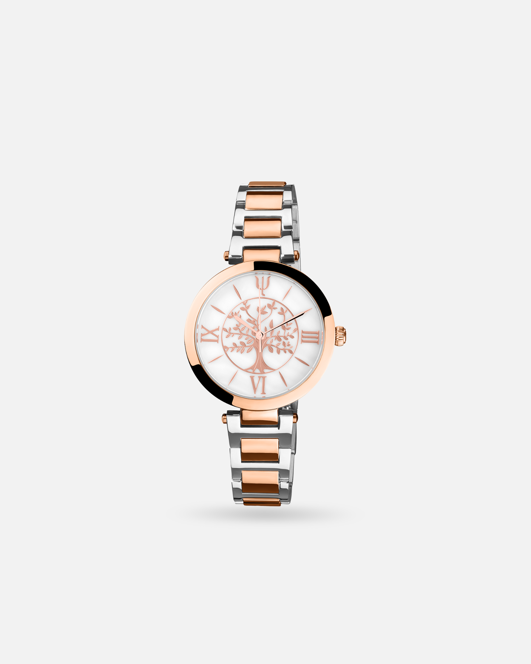 Montre Acier bicolore