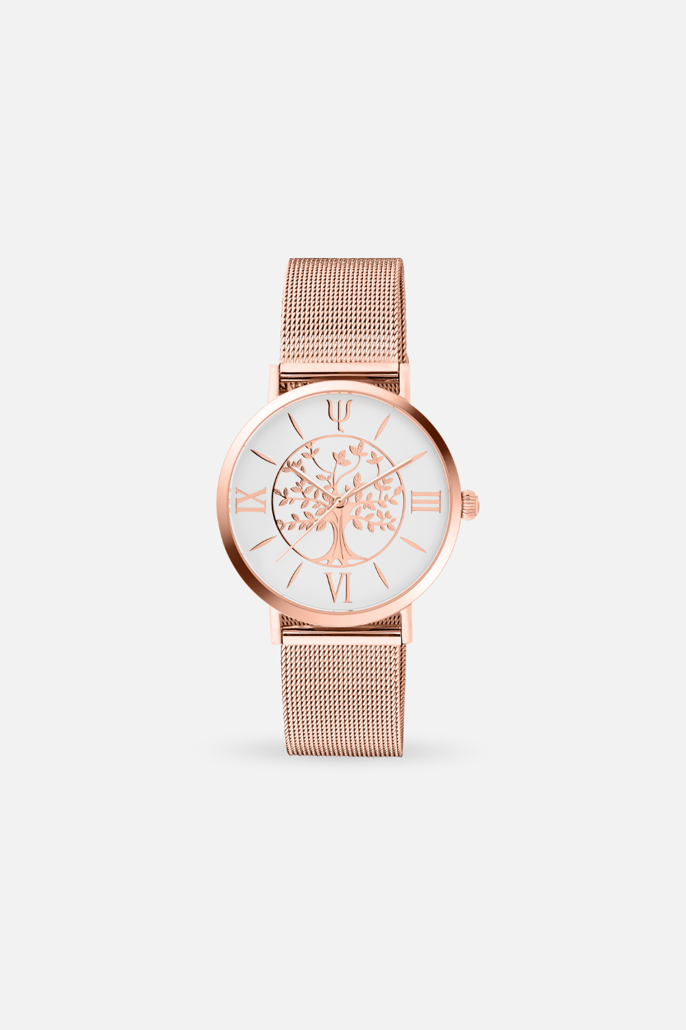 Montre GAIA 36 mm – Acier Rose & Cadran Blanc | Bracelet Interchangeable + Bracelet Cuir Offert